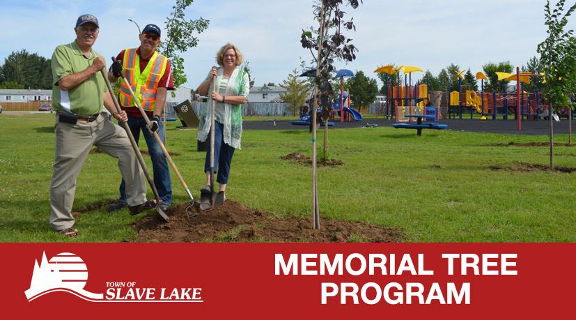 Memorial Tree Program
