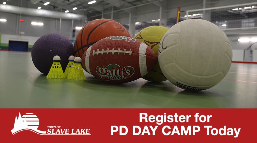 PD Day Camp
