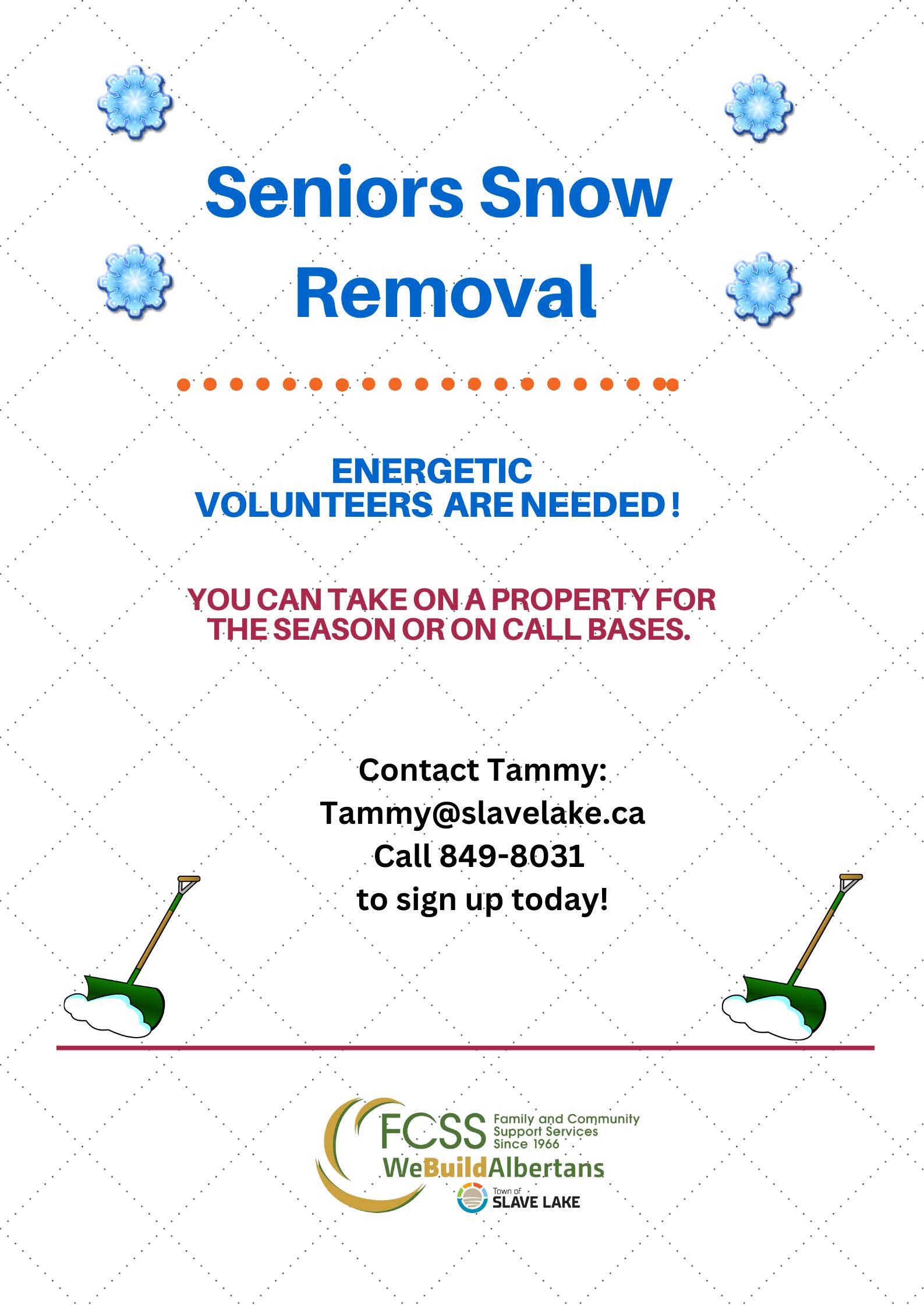 Seniors Snow Removal 2025.pdf